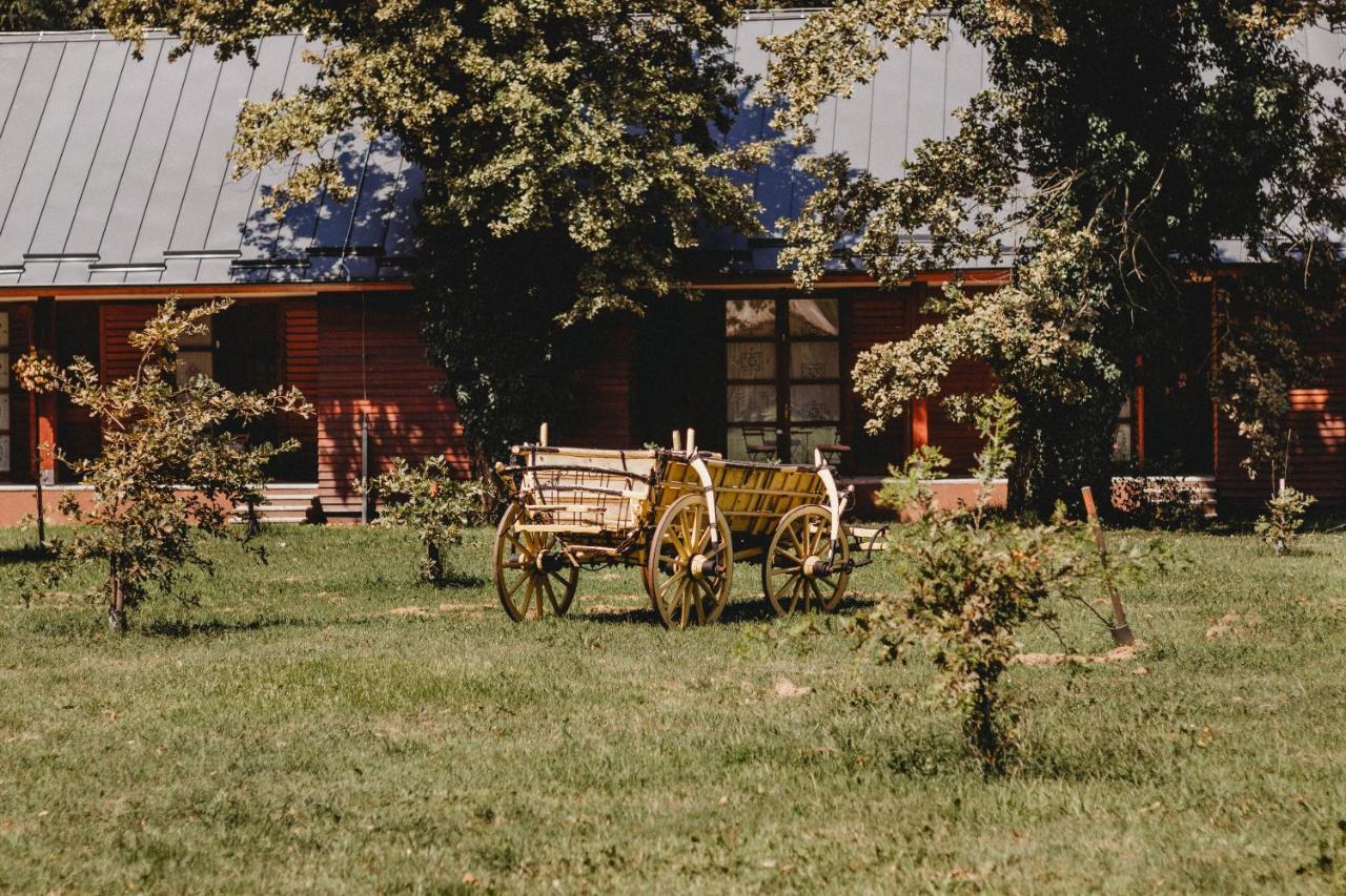 Отель Vukovarska Kuca Экстерьер фото