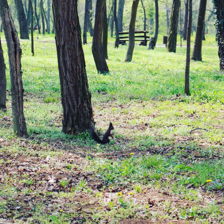 Отель Vukovarska Kuca Экстерьер фото